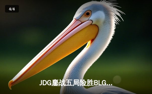 JDG鏖战五局险胜BLG，Knight沙皇绝命推助队挺进LPL春季总决赛 - 4